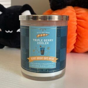 Bath & Body Works ‘Triple Berry Cooler’ Single Wick Candle